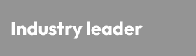 Cybersecurity Risk and Governance Expert